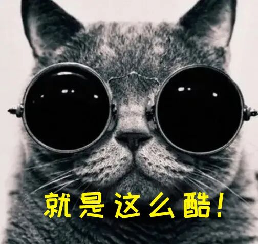 图像风格迁移做了一件文化衫配图 2